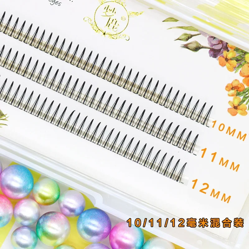 드림 디어 A/M 타입 A 가짜 속눈썹 8-12mm 믹 - Eyelash Extension Korea 리뷰 및 가격